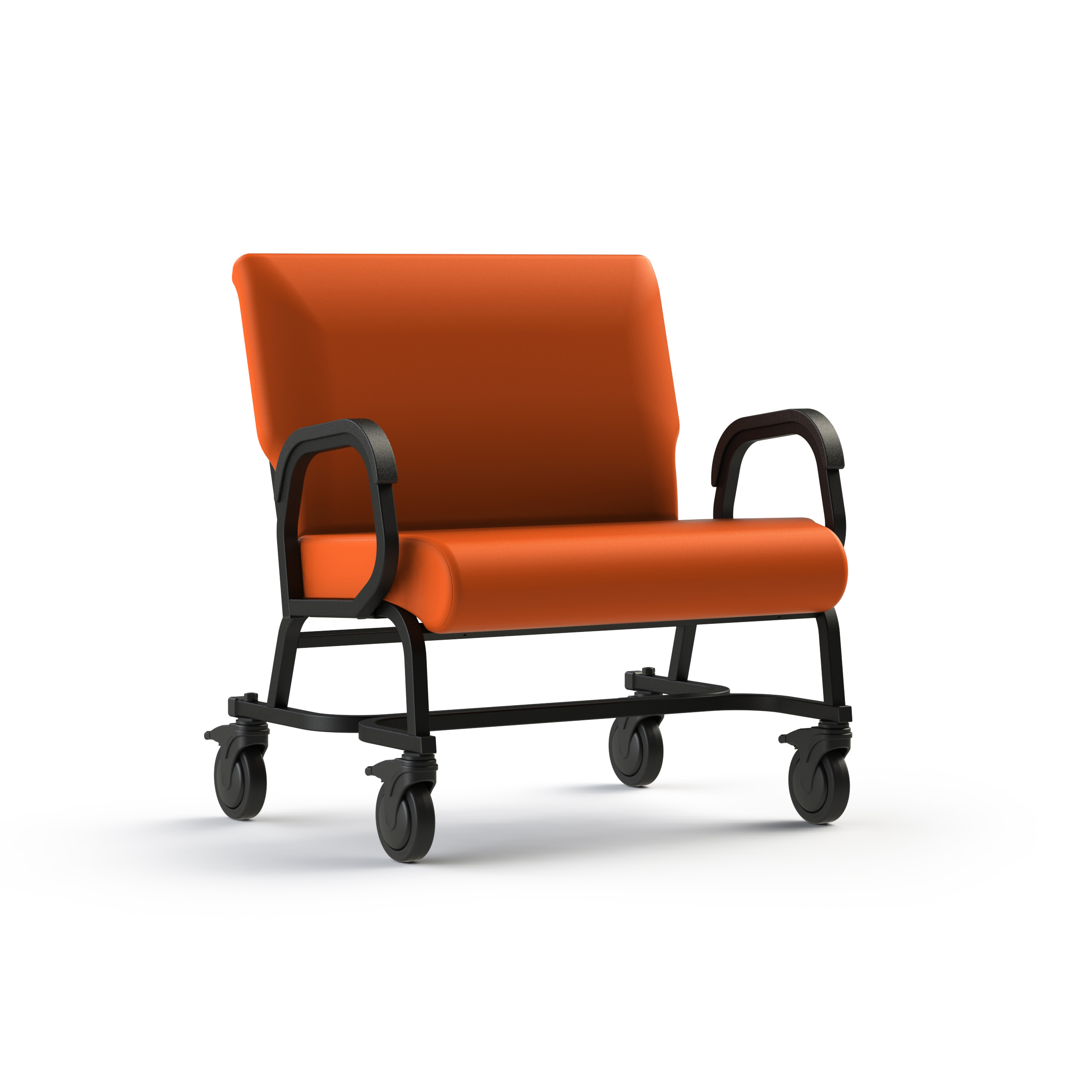 Assisted Living Fellowship Chair